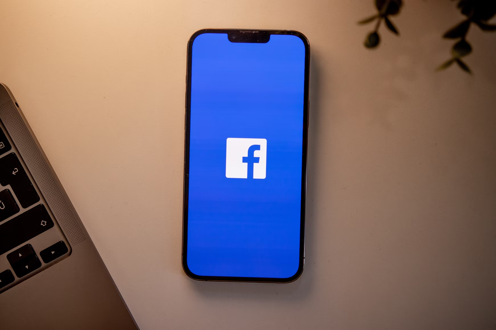 Ciblage et Retargeting Facebook